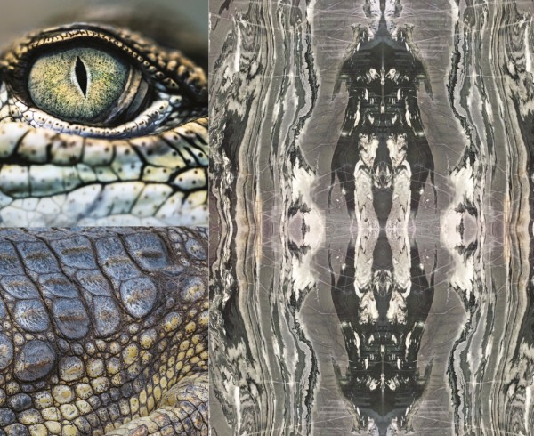 NeroPicasso